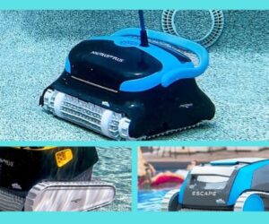 10 mejores reseñas y comparaciones de limpiadores de piscinas Dolphin 2021