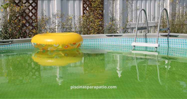 Cómo tratar las algas mostaza-alga mostaza piscina