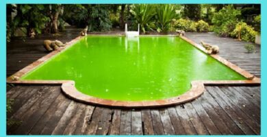 Cómo sacar las algas de la piscina sin una aspiradora