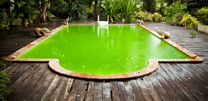 Trucos que funcionan ahora mismo para quitar las algas de las piscinas-quitar algas fondo piscina